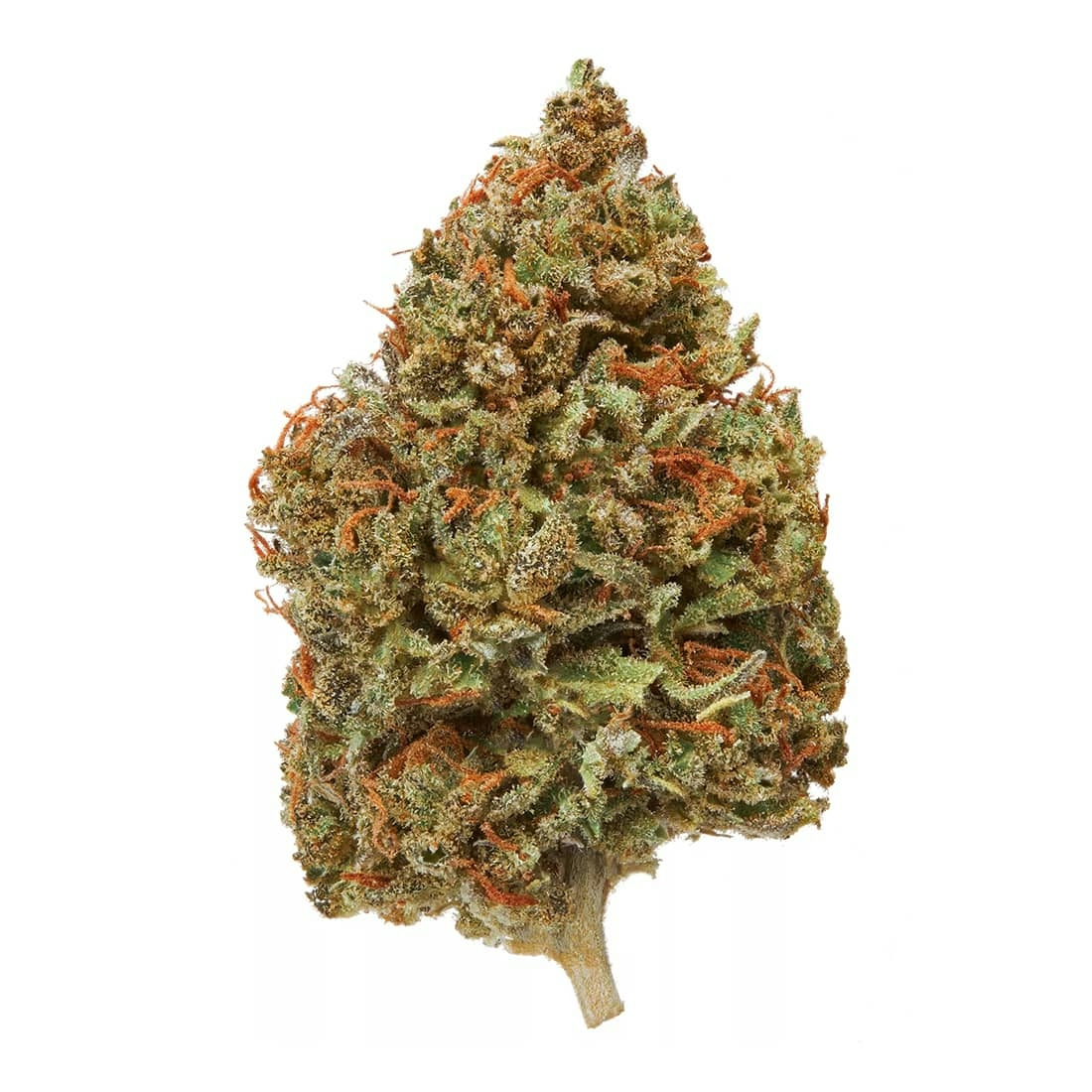 8 Best Cannabis Strains For Reading