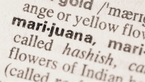 The Definitive List Of Slang For Weed