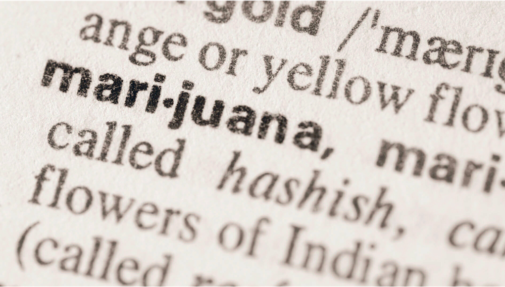 the-definitive-list-of-slang-for-weed