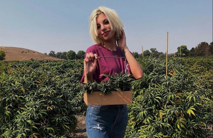 The 10 Best Cannabis Social Media Influencers 2024