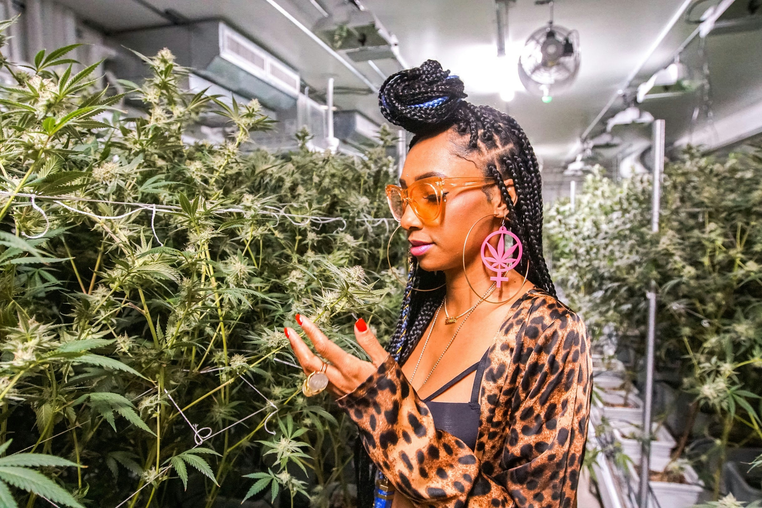 The 10 Best Cannabis Social Media Influencers 2024