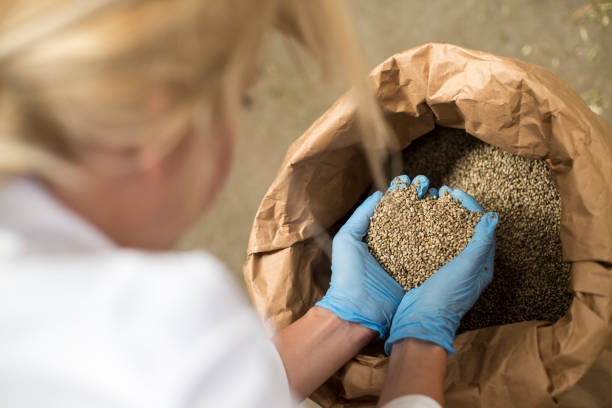 30 Best Uses For Hemp & Their Benefits