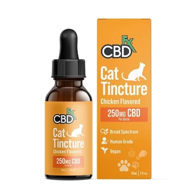 CBD Oil For Cats: What You Need To Know