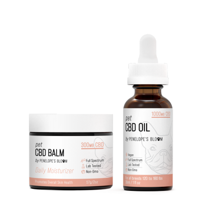 CBD Oil For Cats: What You Need To Know