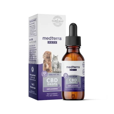 CBD Oil For Cats: What You Need To Know