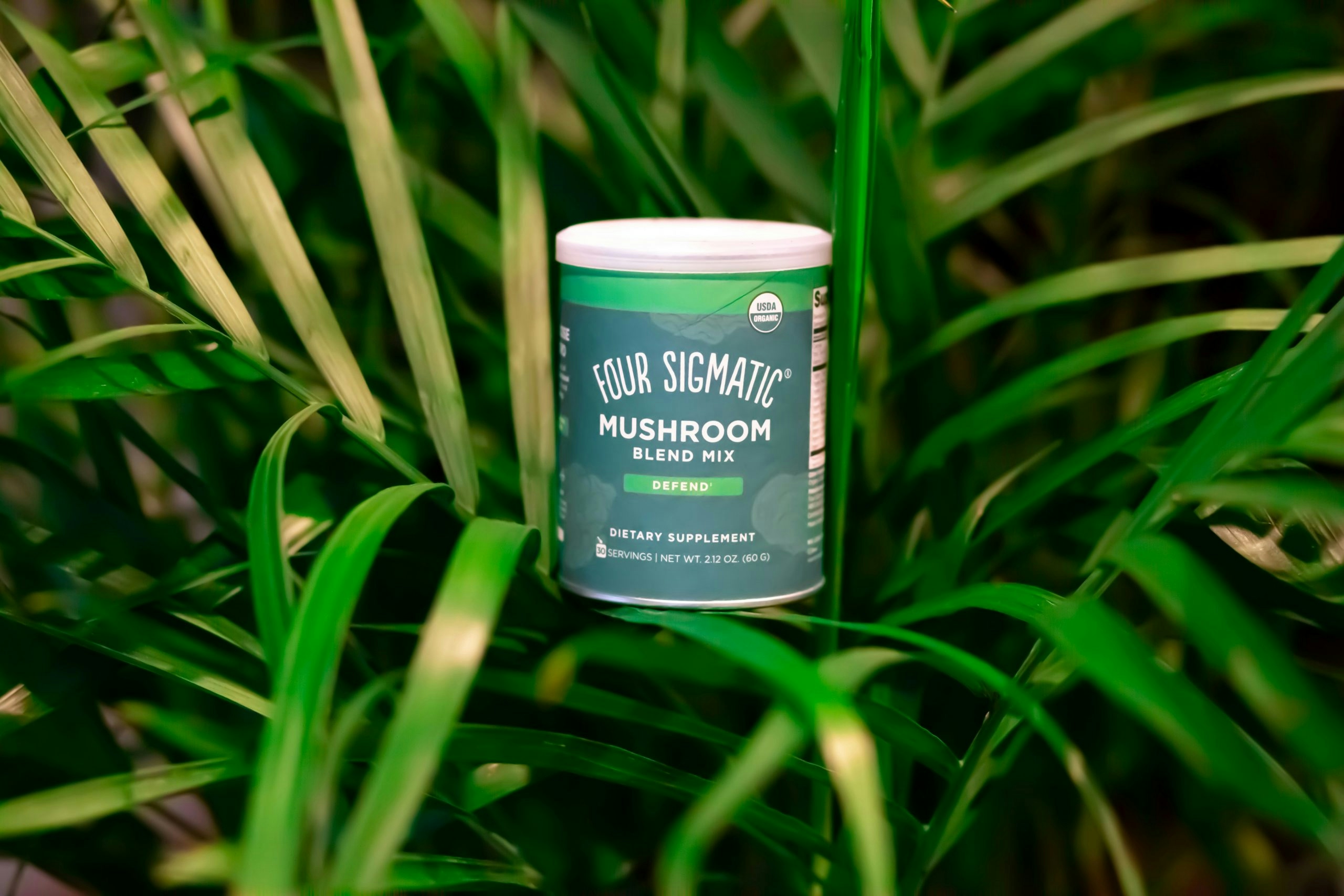 What Is Mushroom Coffee: Effects, Benefits, & Brewing