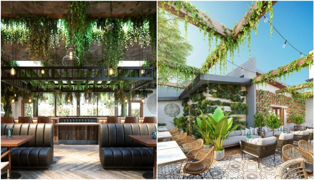 Weed Bars: Exploring The Rising Trend Of Cannabis Lounges