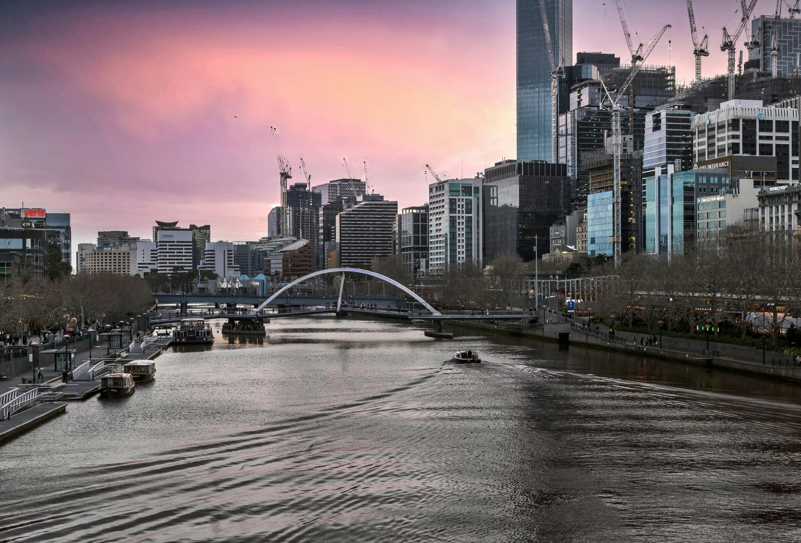 The Best Delta-8 in Tennessee: Access & Usage