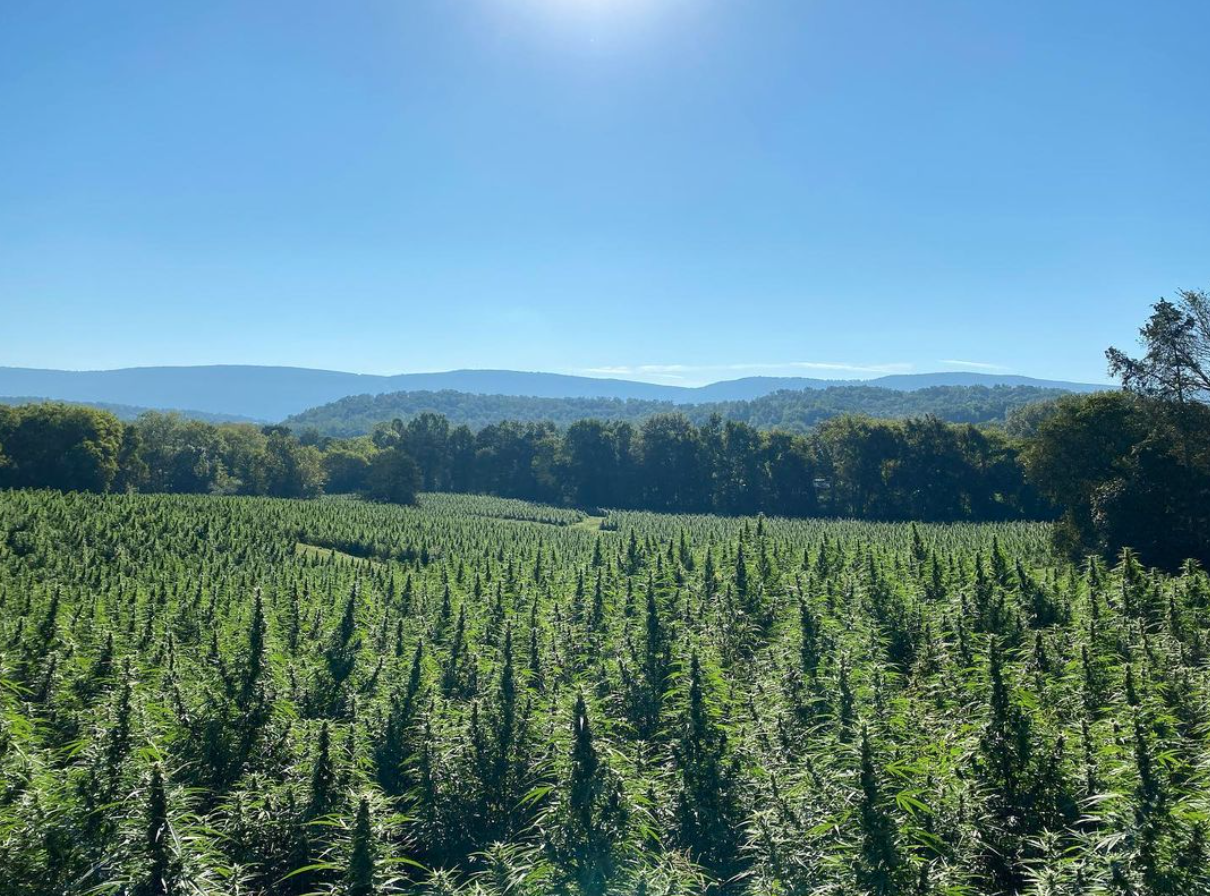 25 Hour Farms: Find The True Wholesale Experience