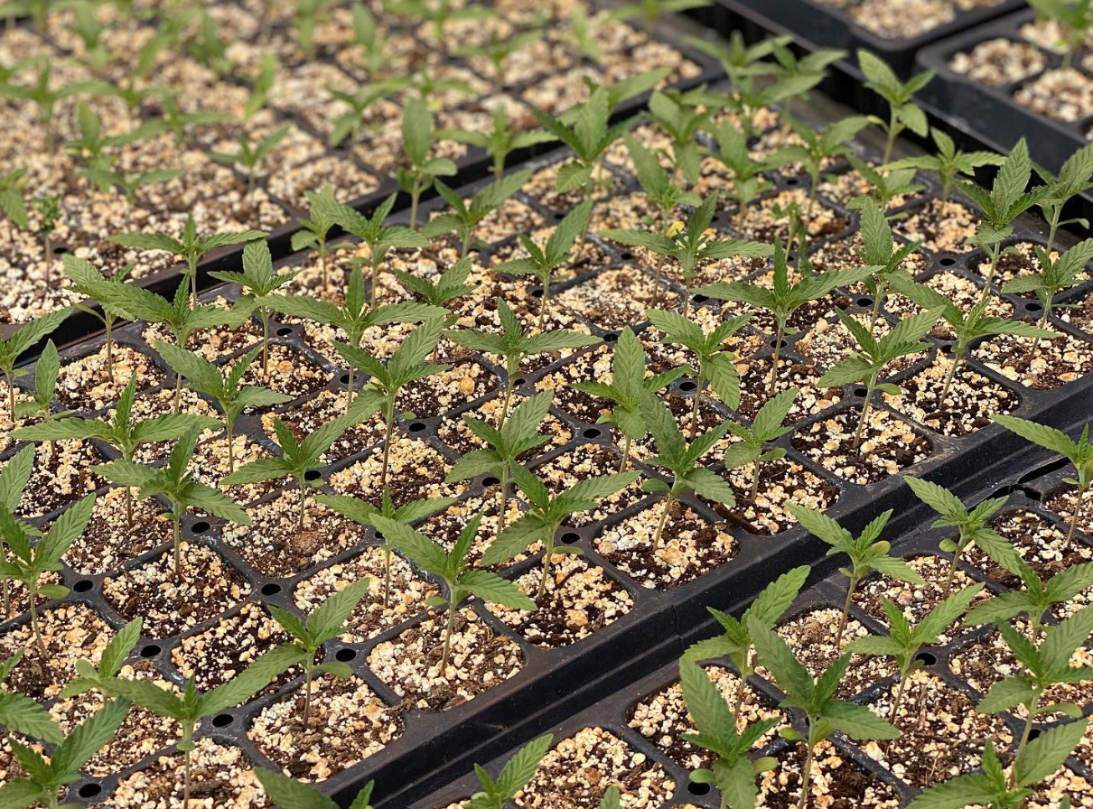 25 Hour Farms: Find The True Wholesale Experience