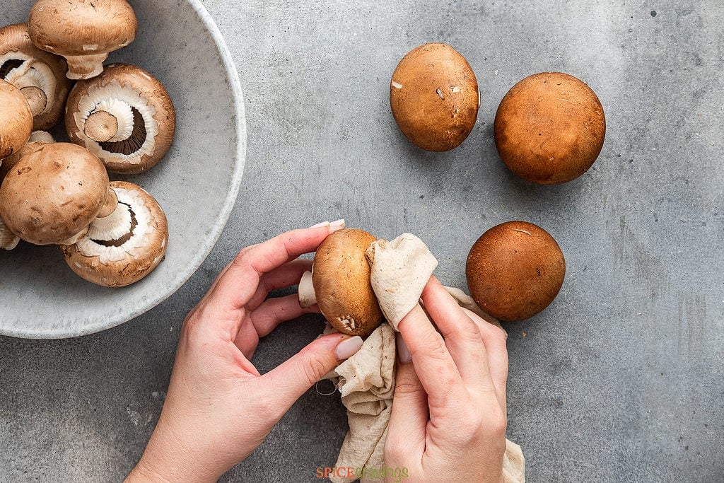 Mushroom Foraging: Guide To Harvesting Nature’s Hidden Gems