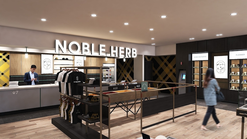 The Best Dispensaries In Flagstaff, AZ