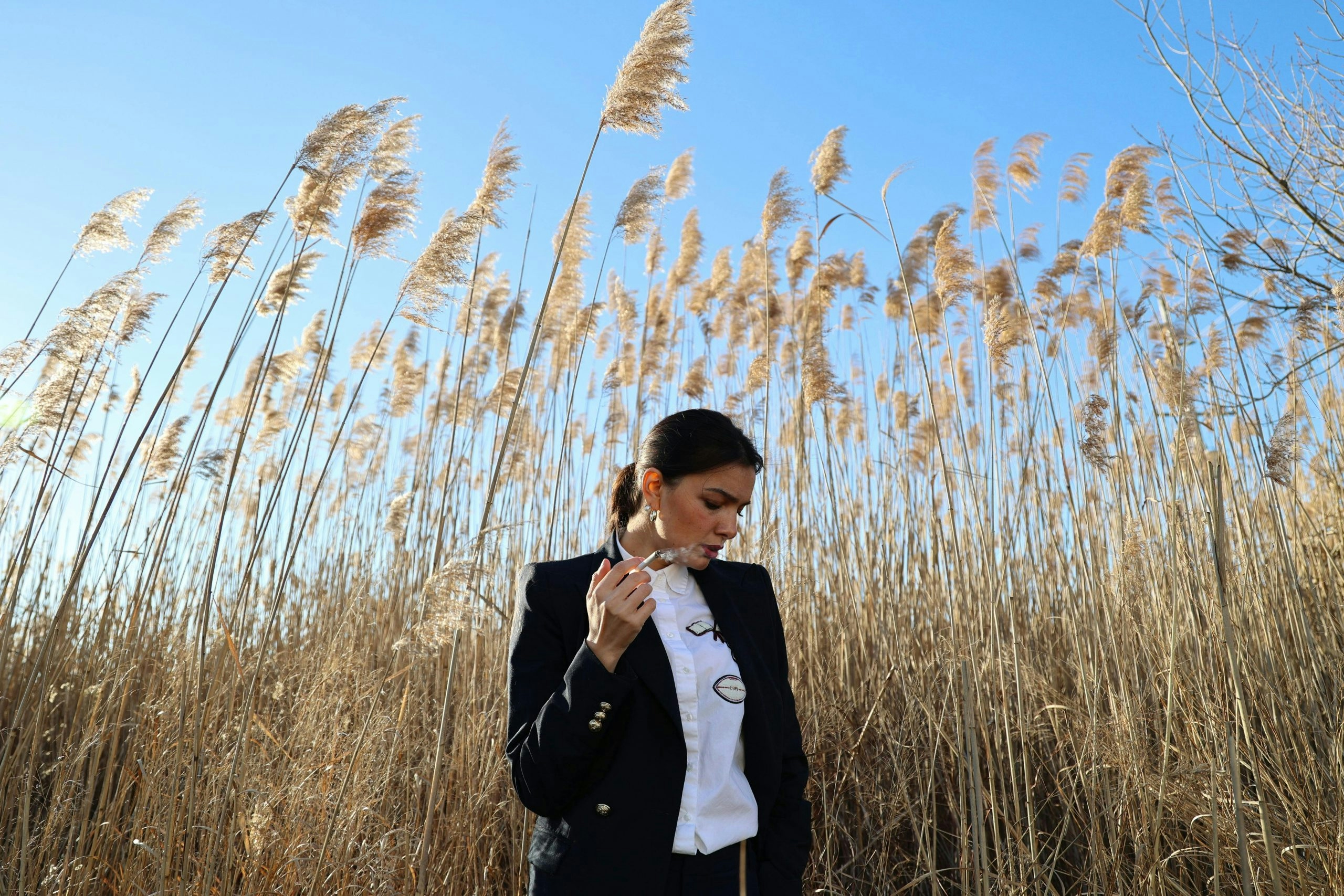 Vivimu Unveils Innovative THCa Pre-Rolls: Elevate Your Experience With Pure Potency