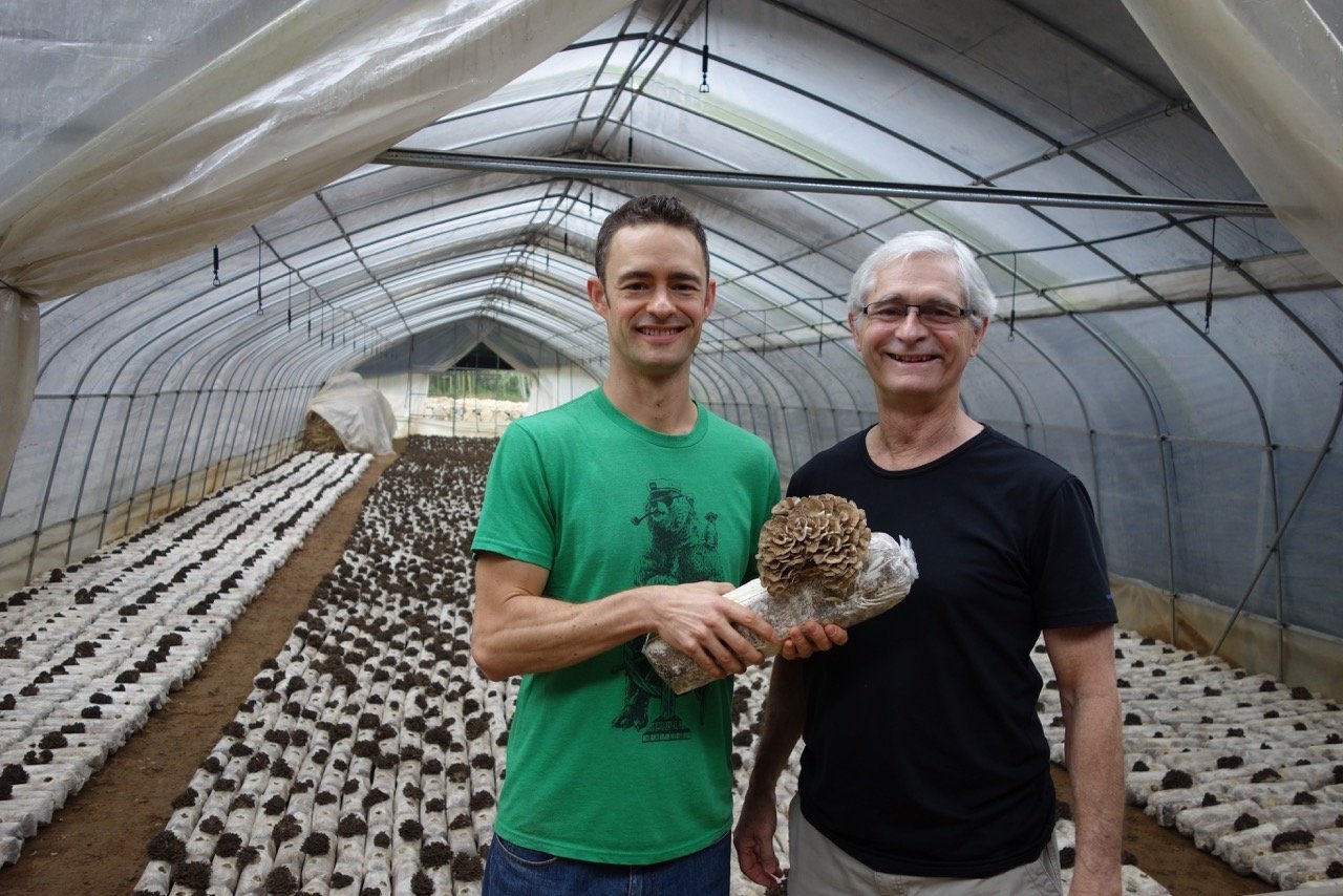 66,000 Pounds Strong: Nammex’s Revolution In Organic Mushroom Production