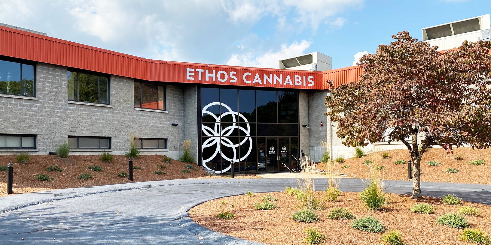 Best Dispensaries In Philadelphia
