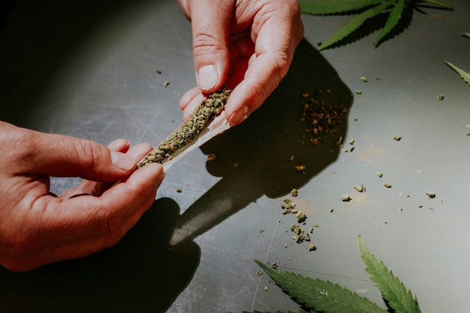 Does Marijuana Have Nicotine In It?