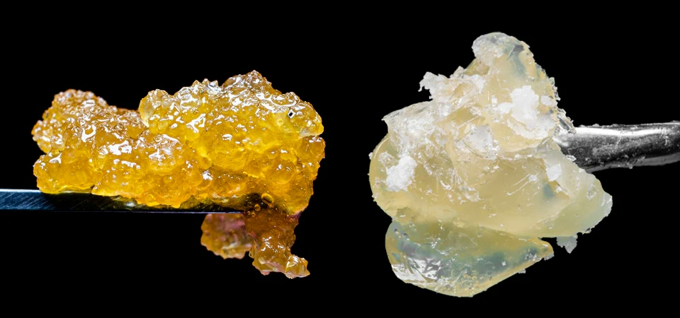 how long does live resin last