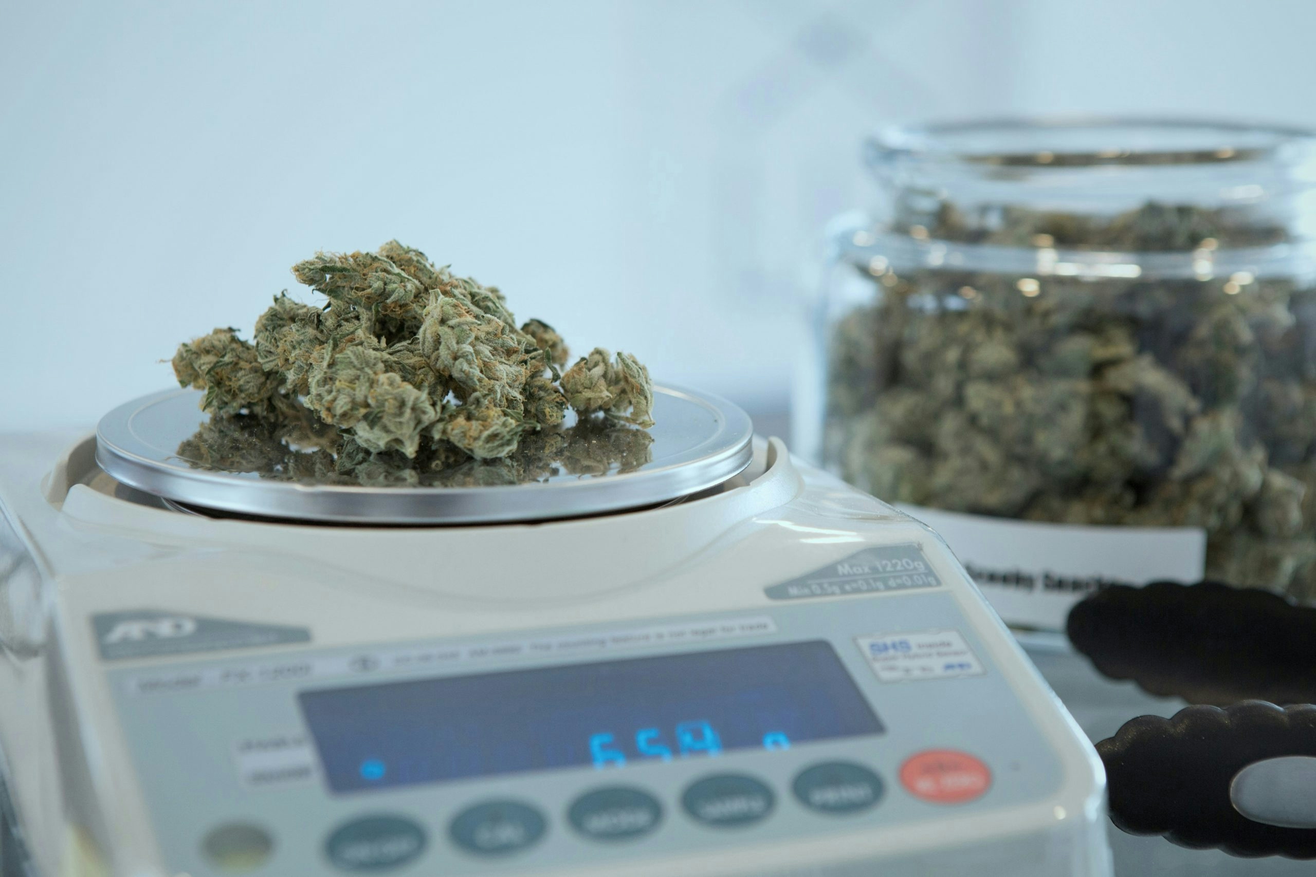 Everything You Need To Know About Pricing Of An Ounce Of Weed