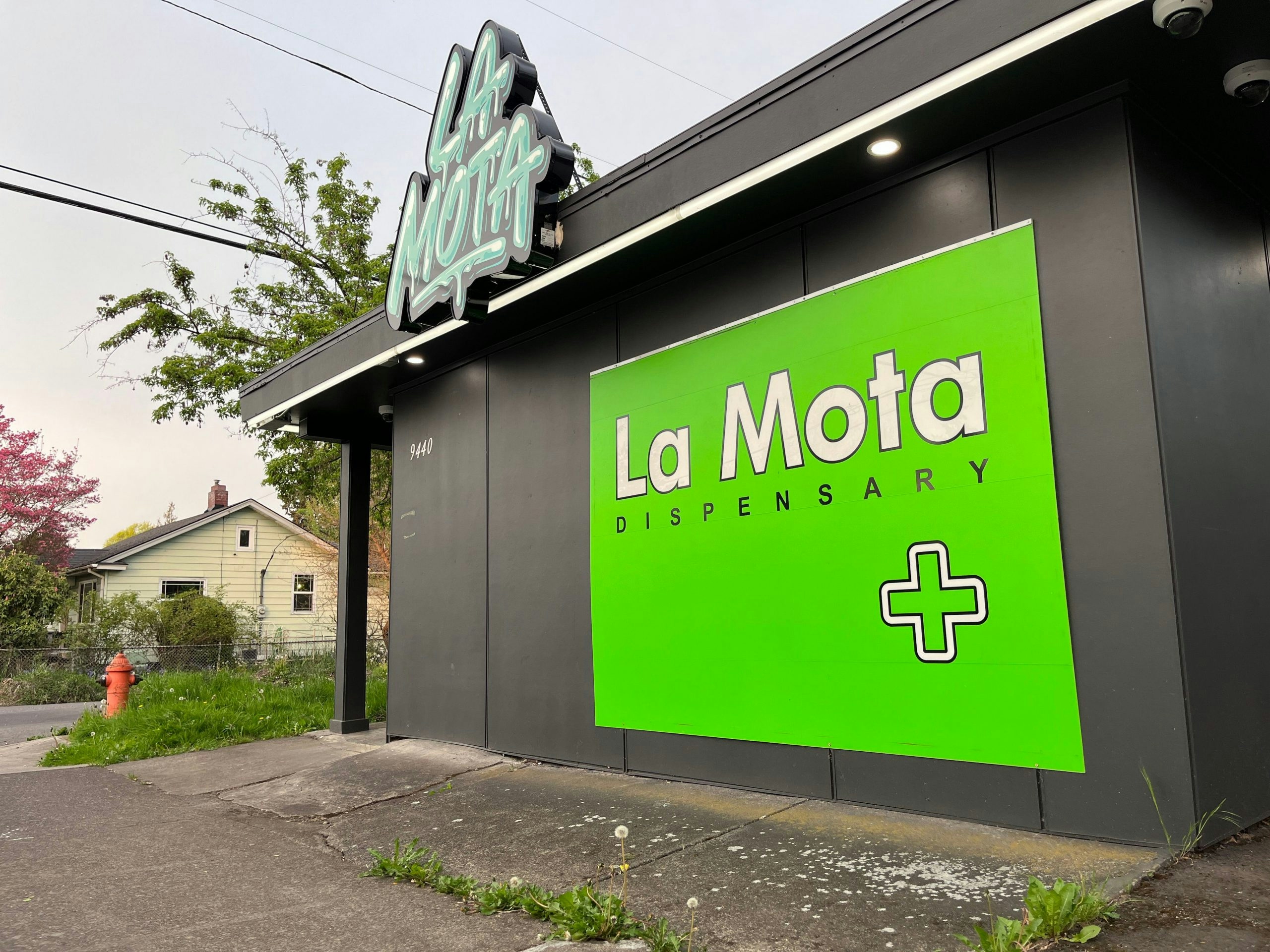 Best Dispensaries In Brookings, OR