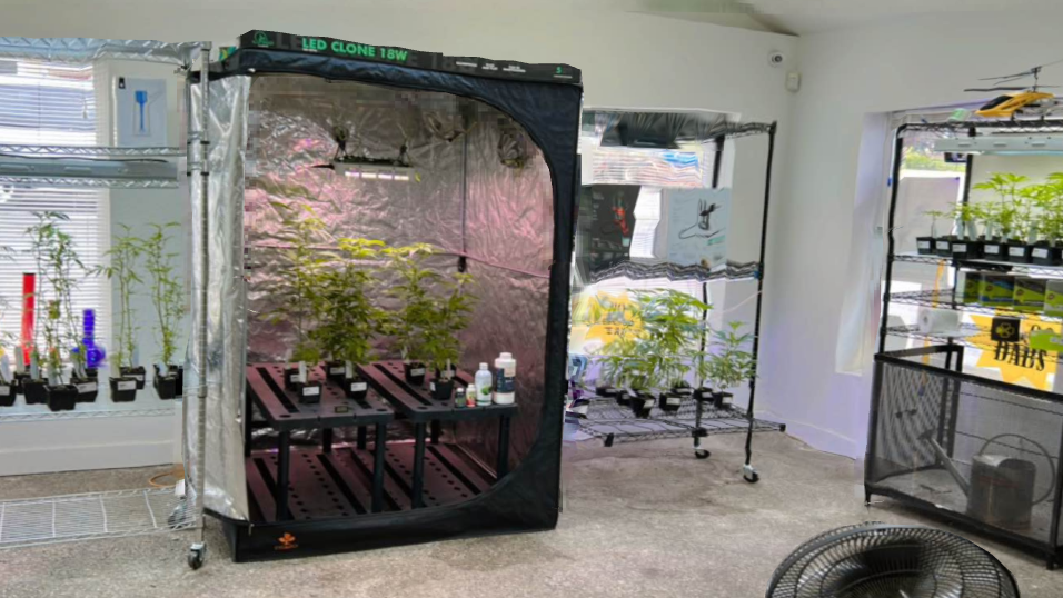 Best Dispensaries In Brookings, OR