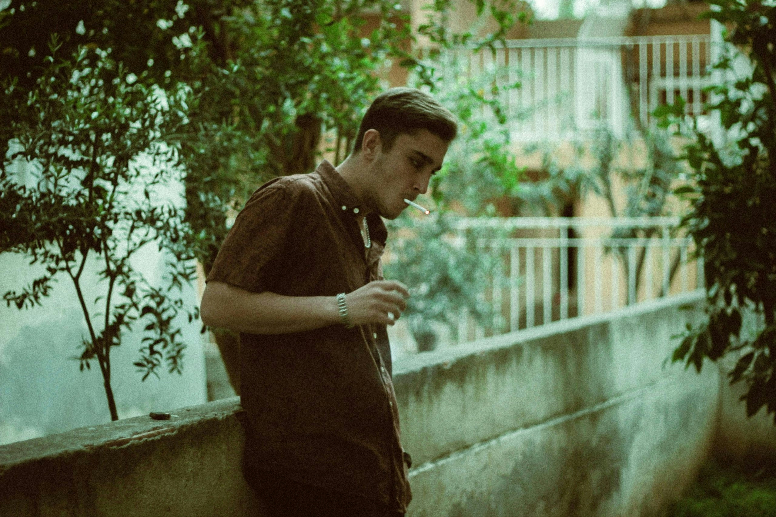 Delta 8 Missouri: Everything You Need To Know