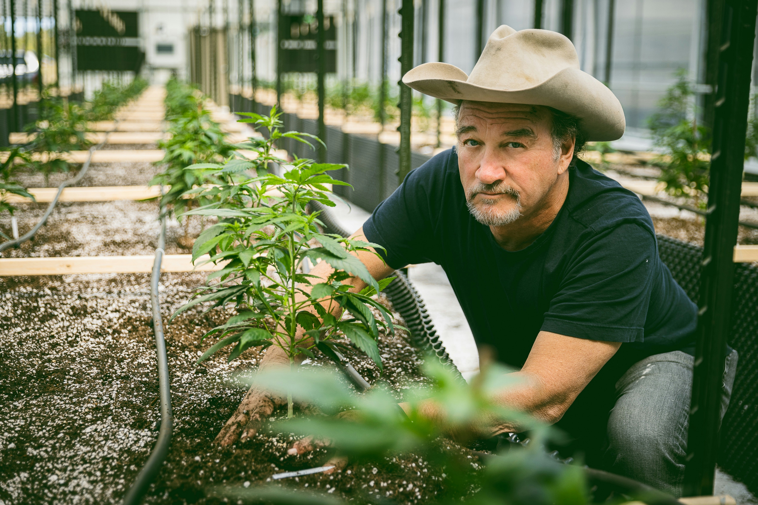 Herb’s 420 Guide 2024: Connecting Souls Through Cannabis