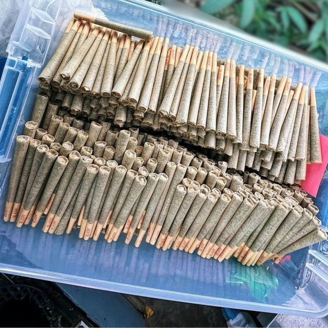 Herb’s 420 Guide 2024: Connecting Souls Through Cannabis