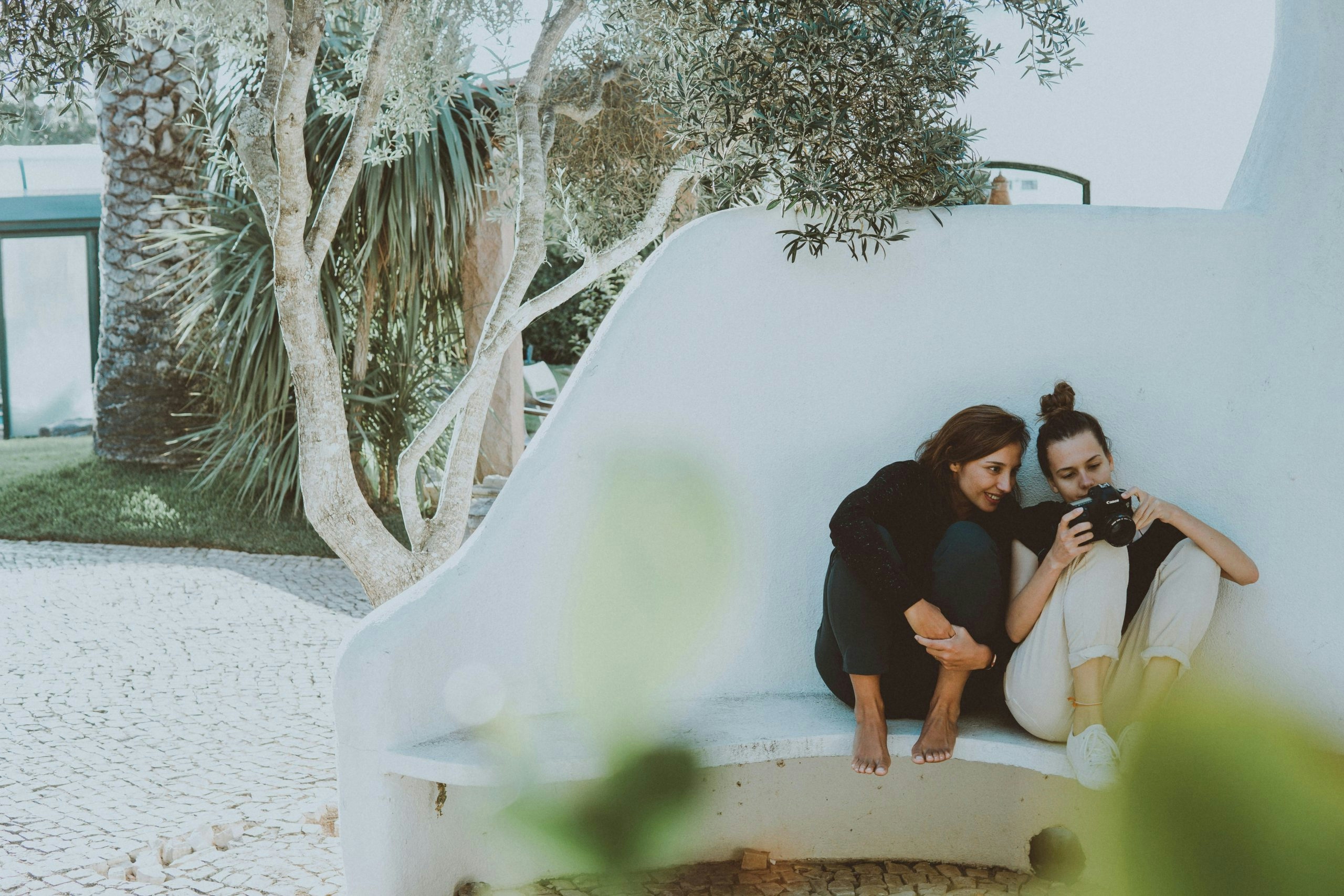 Does THCA Flower Get You High? THC Vs. THCA