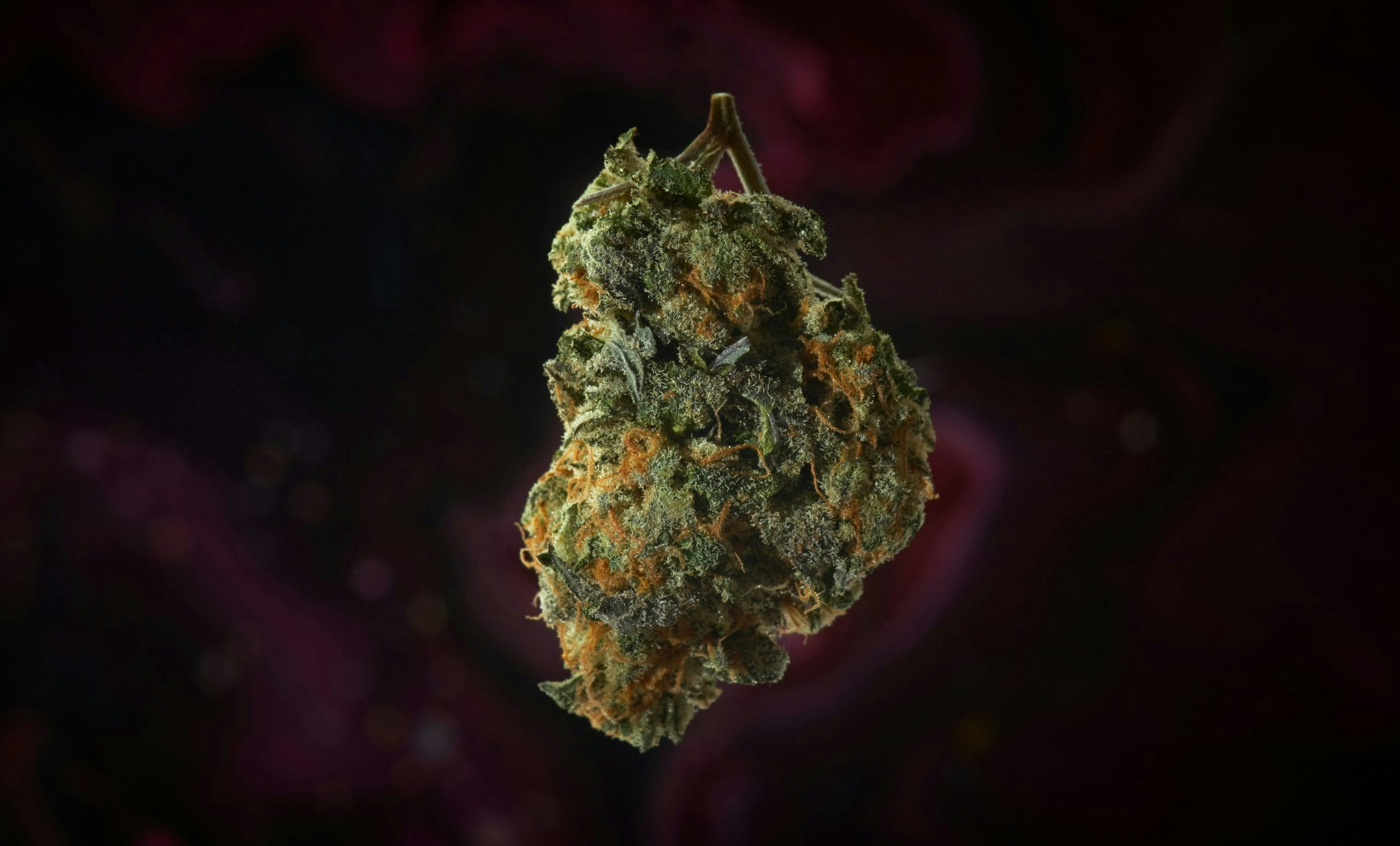 The Strongest Strains On The Planet