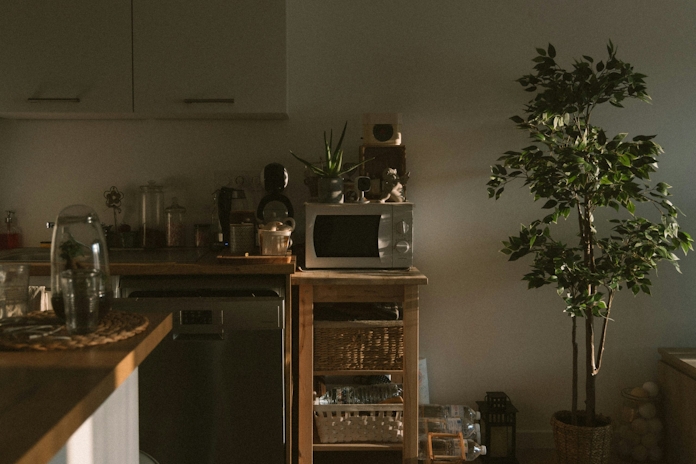 What Happens When You Microwave Weed?