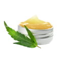 The 30 Best Cannabis Strains of 2024