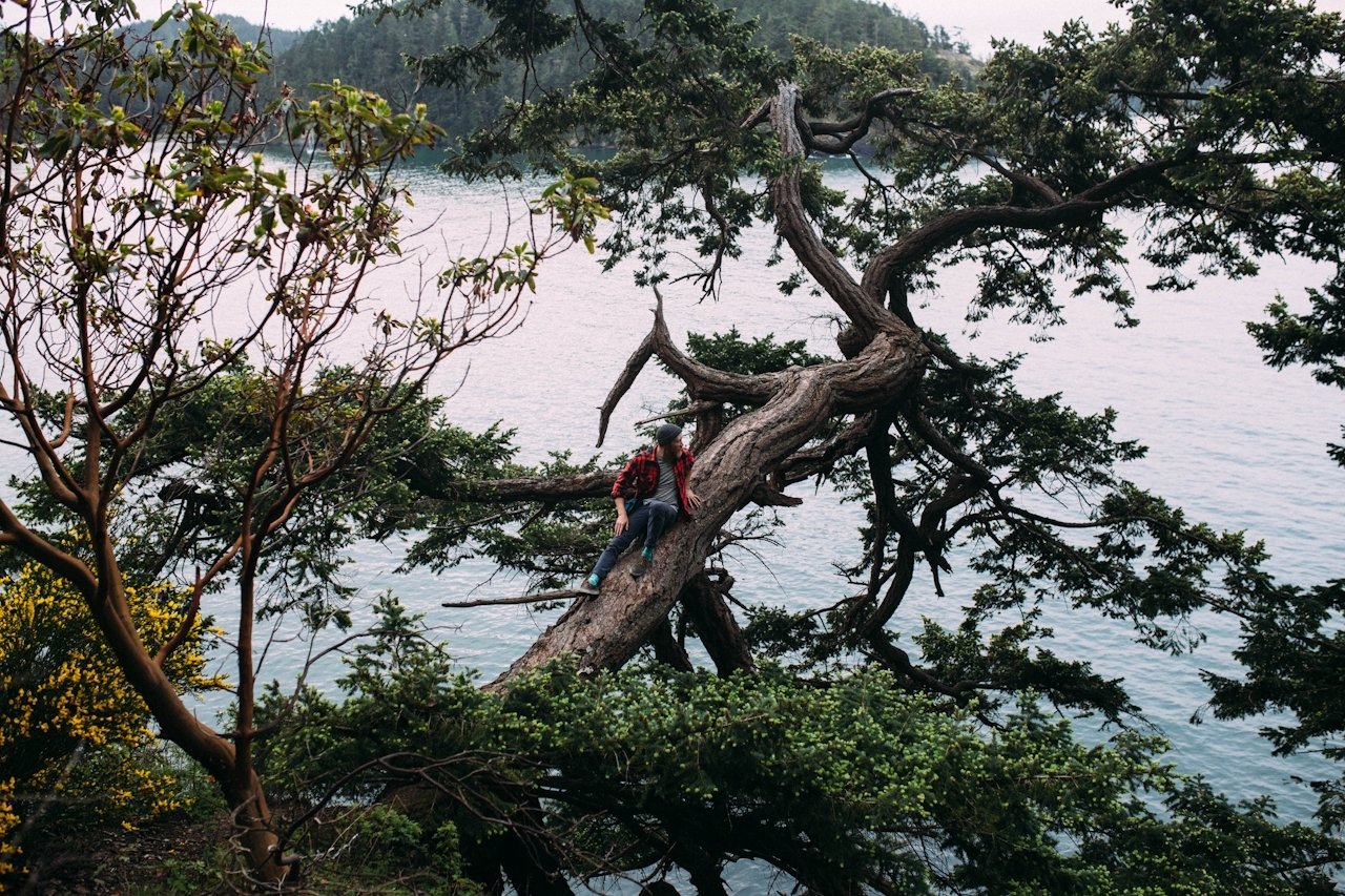 A Beginner’s Guide To Microdosing Mushroom Edibles