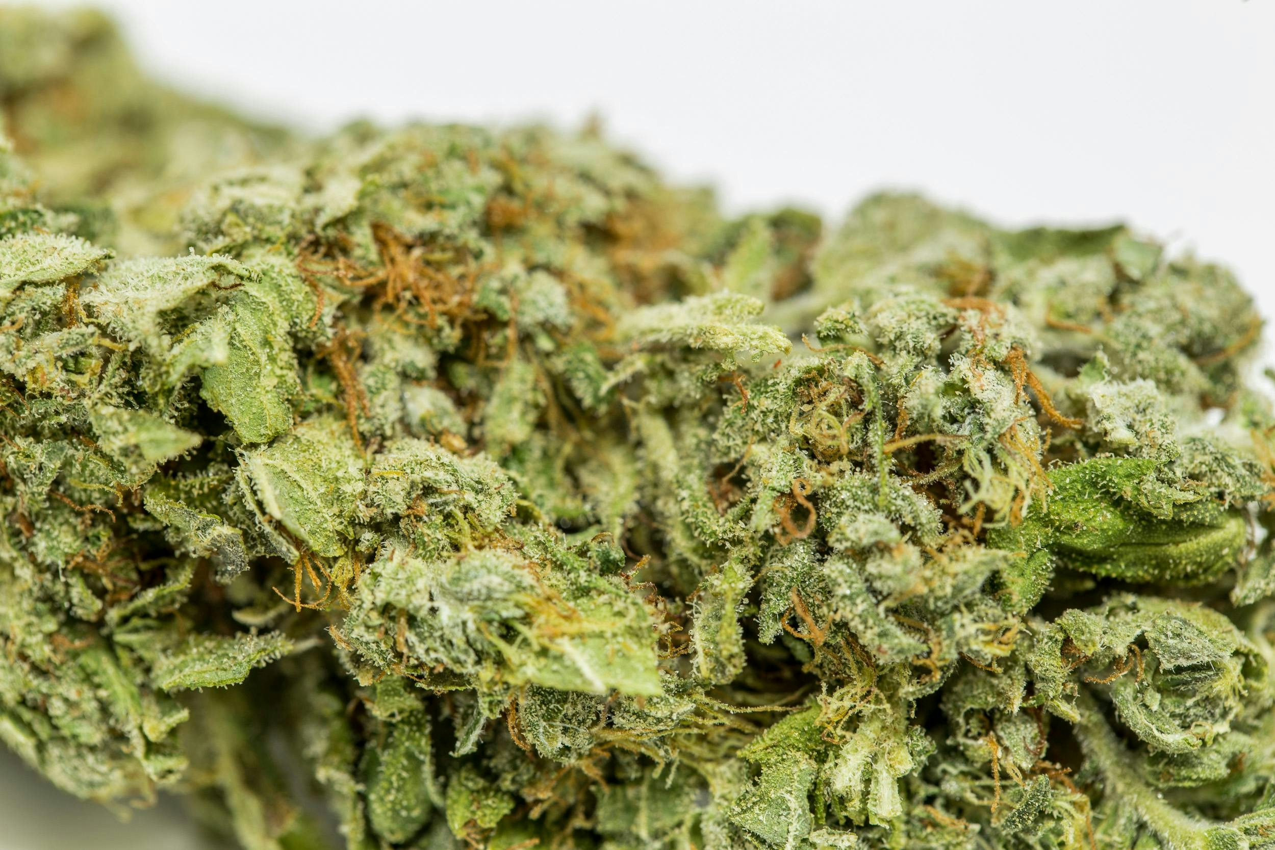 The Strongest Strains On The Planet