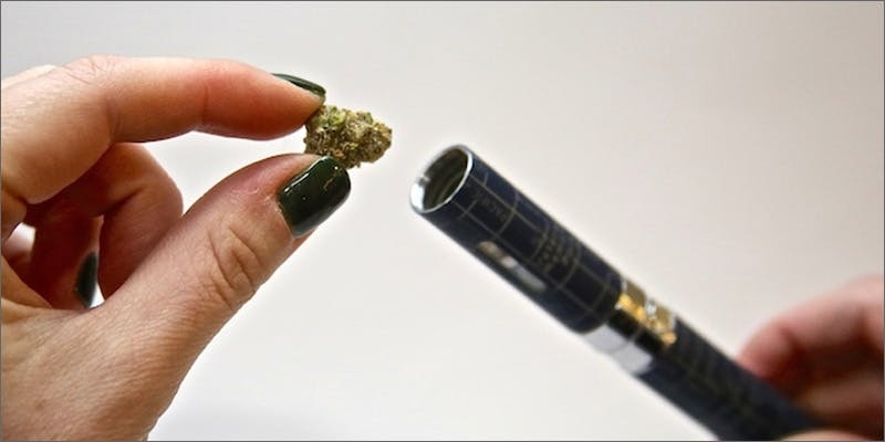 The Best Weed Weed Grinders To Buy In 2024