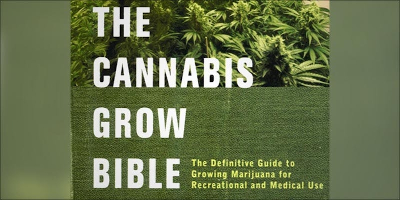 The 15 Best Books About Weed