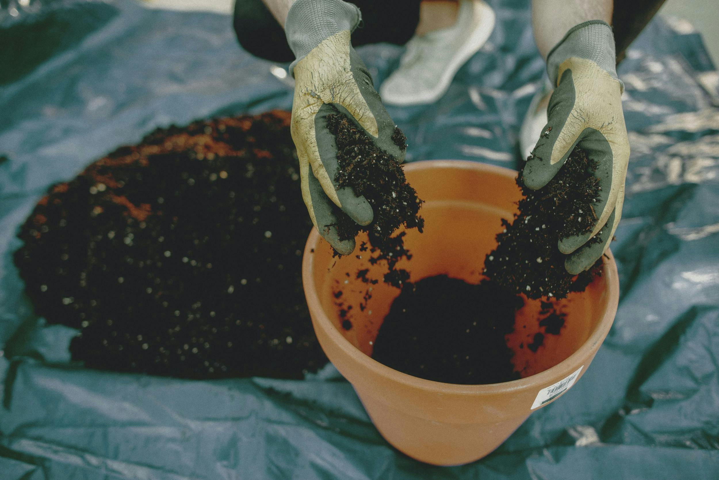 How To Make Super Soil And Grow Better Cannabis Plants