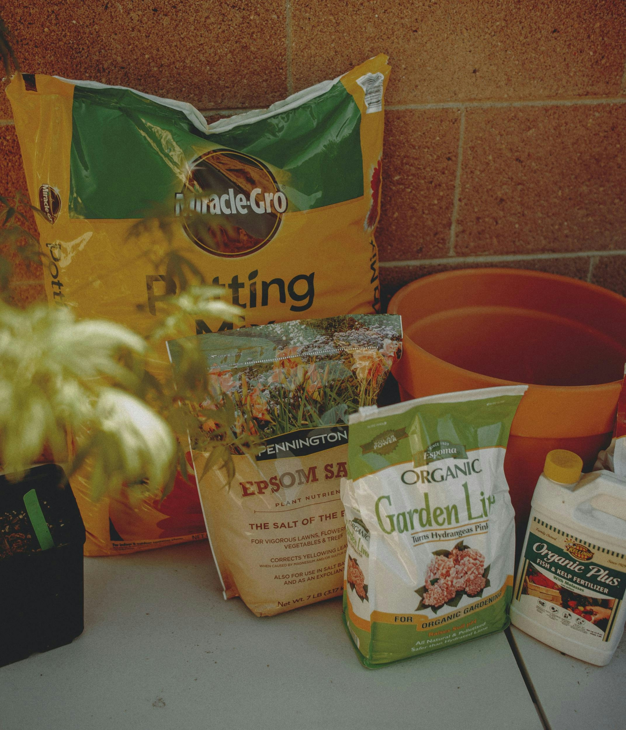 How To Make Super Soil And Grow Better Cannabis Plants