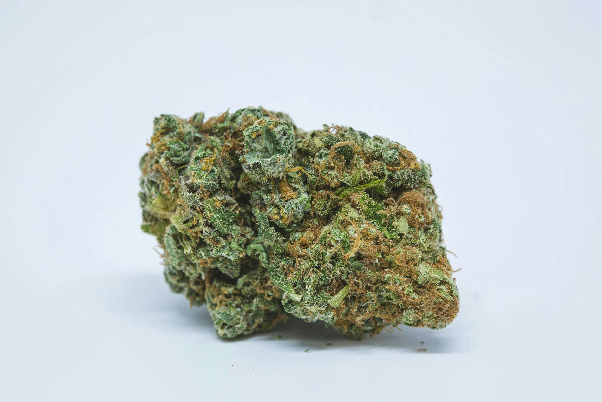 Strains Sense: Best Strains To Perform Better At Your Tech Job