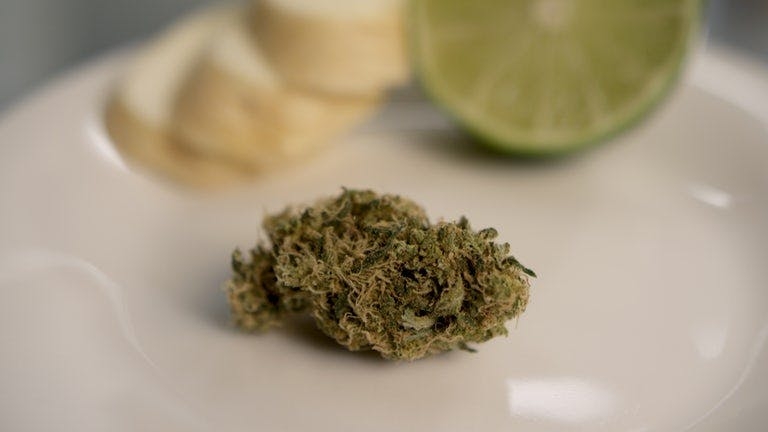 Stonerpedia: Best Cannabis Terpenes For Creativity