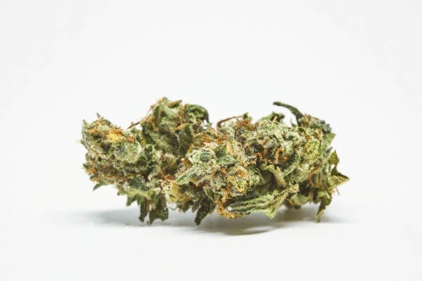 Here Are The Rarest Cannabis Strains On Earth Right Now