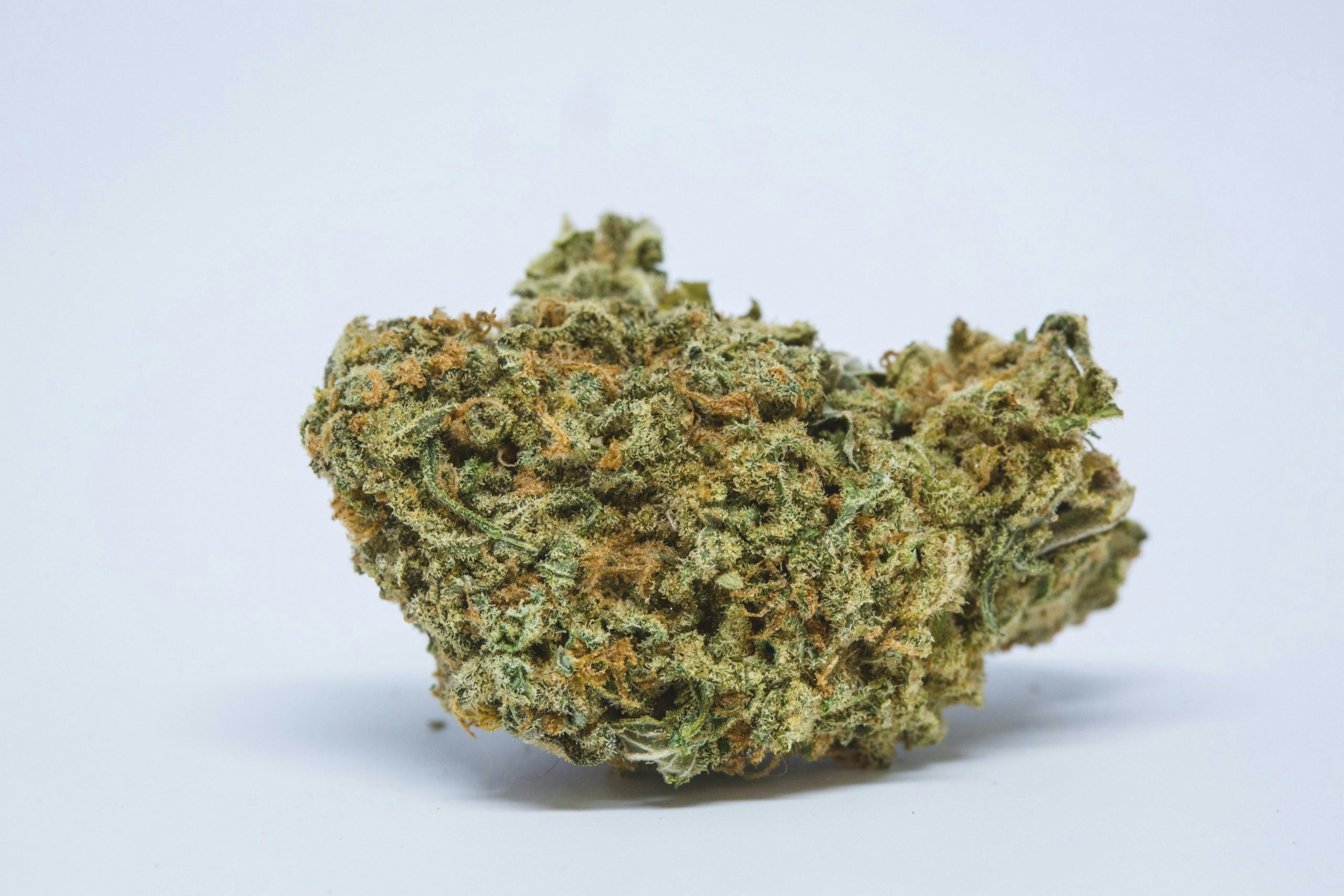 Strains With Highest THCV: 10 Strains To Check Out