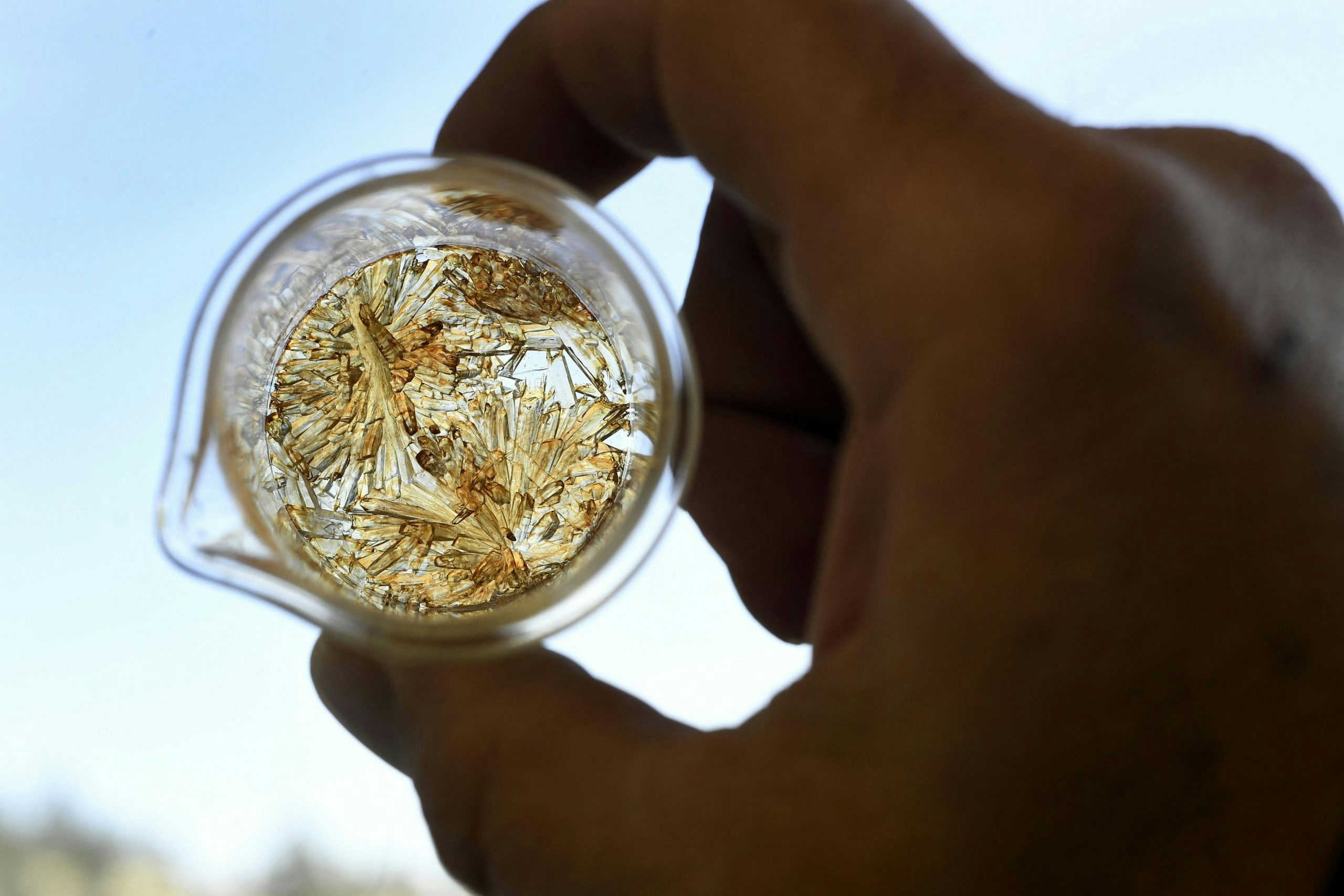 How To Decarb Marijuana: Cannabis Decarboxylation Guide