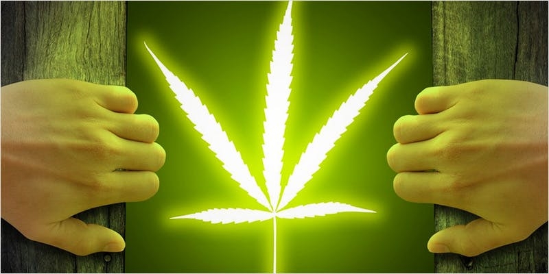 Weed In Iceland: What To Expect in 2023