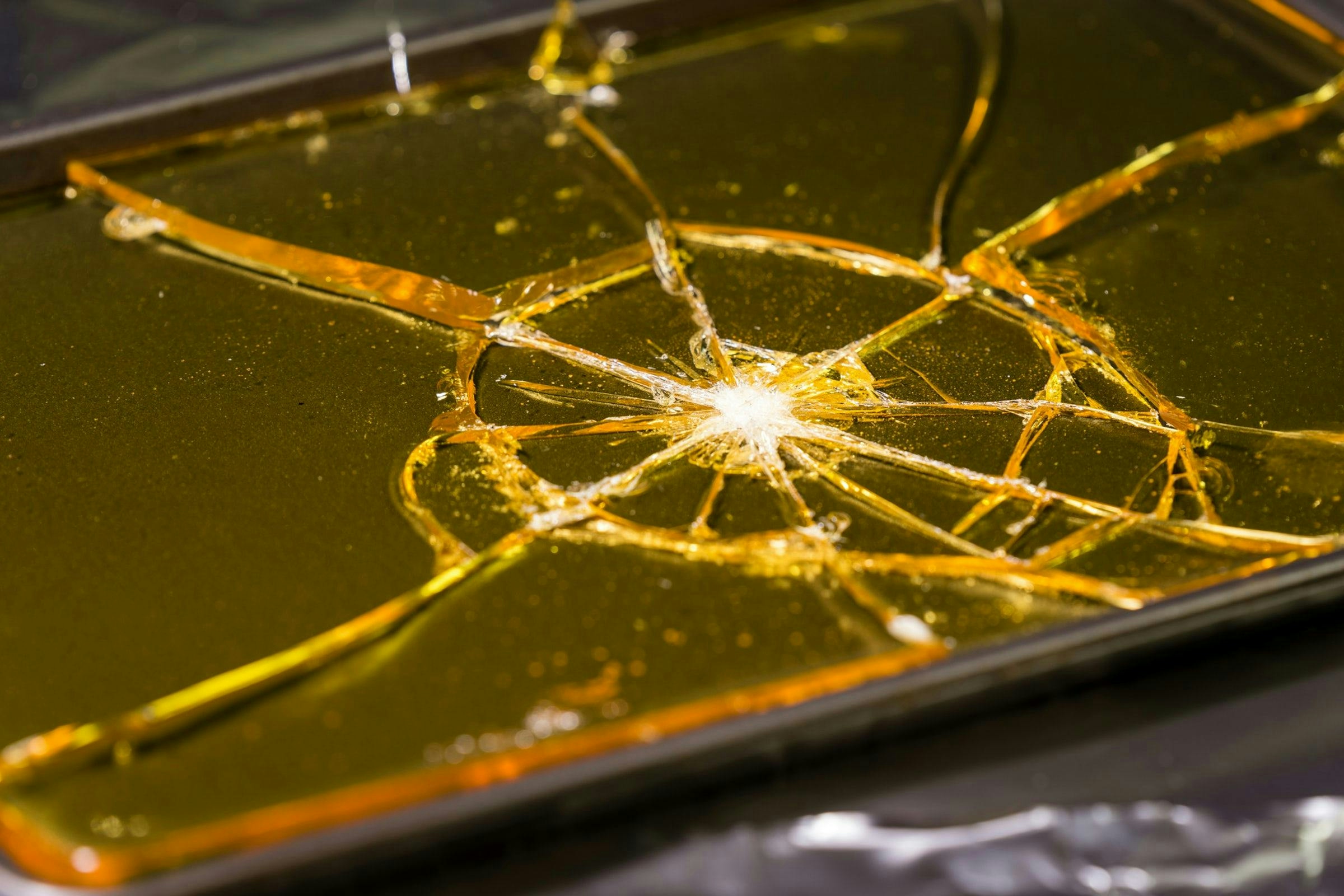 OG CannaSugar Shatter