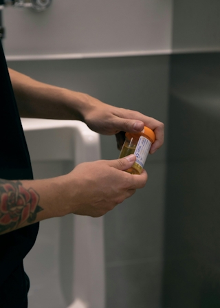 Weed Effects: How Long Does Marijuana Stay In Your System?