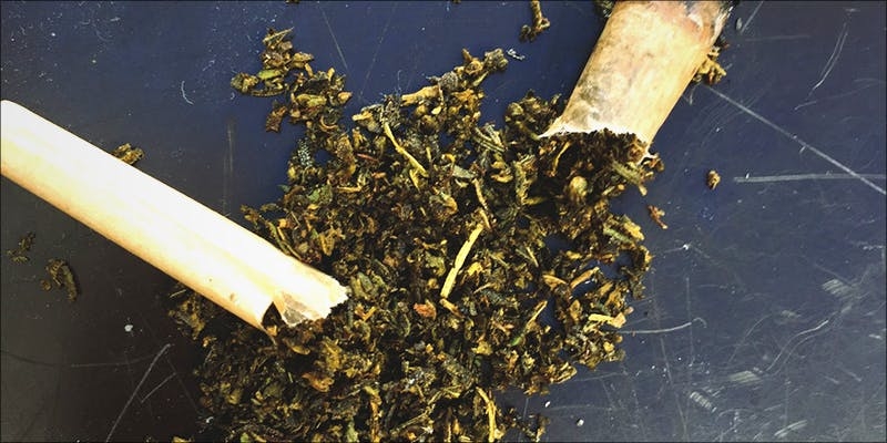 Here’s Everything You Need To Know About Cavi Cones