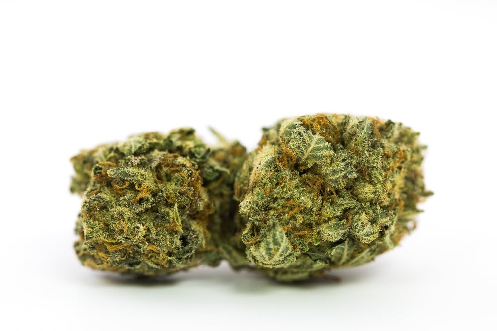 best high humulene strains