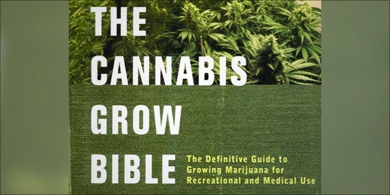 The 15 Best Books About Weed