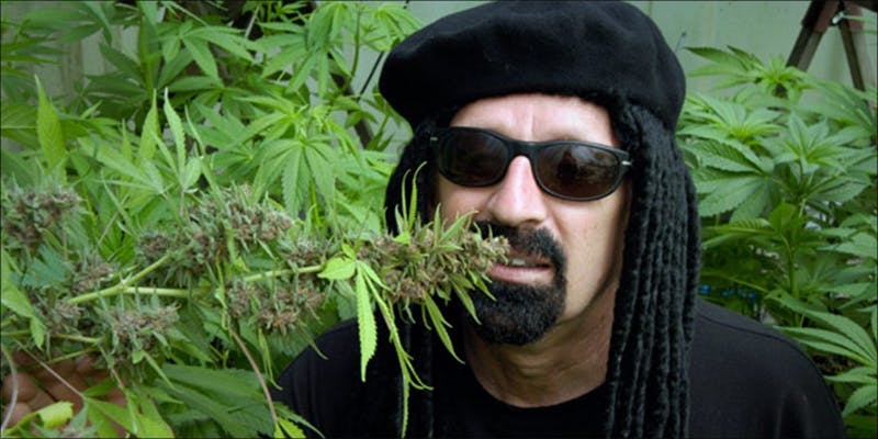 The 15 Best Books About Weed