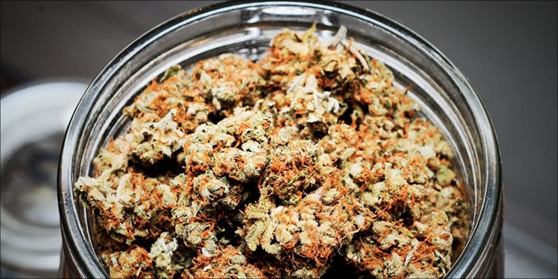 Bigger Yields With HPS Vs. LED Grow Lights